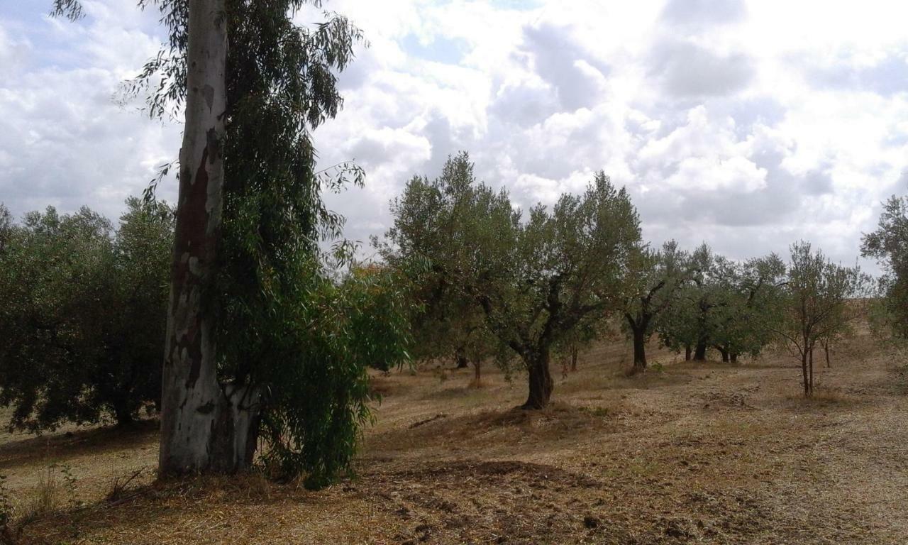 Poderi Di Tragliatella Экстерьер фото