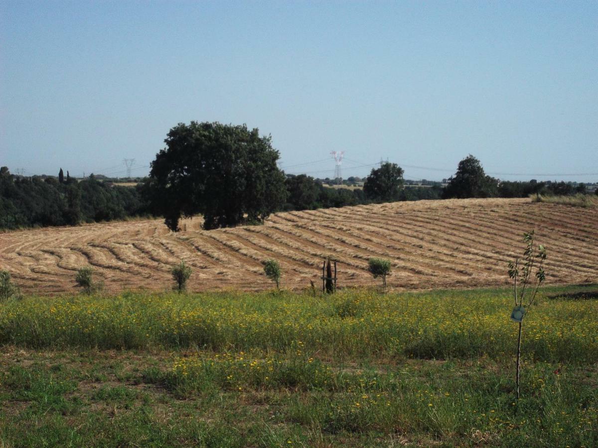 Poderi Di Tragliatella Экстерьер фото